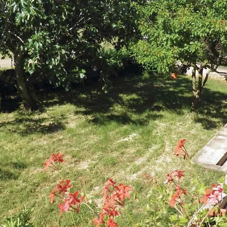 Apartment In - Istrien 40228 Porec