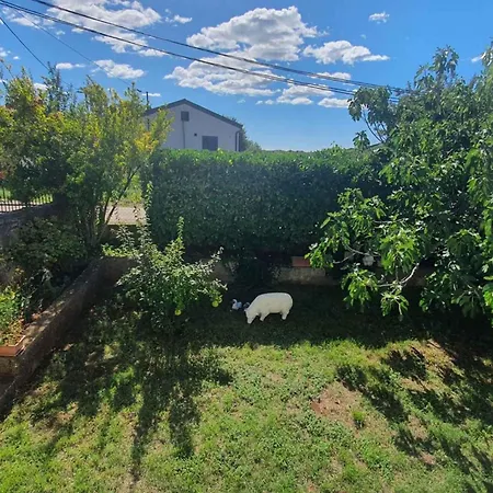 Apartment In - Istrien 40228 Porec