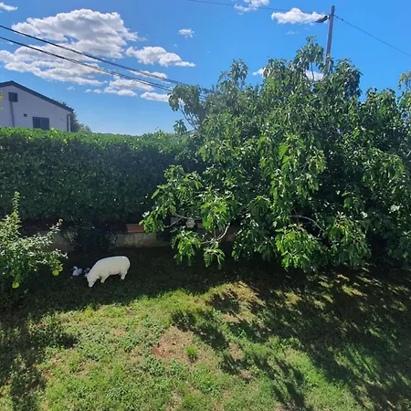 In - Istrien 40228 Appartement *
